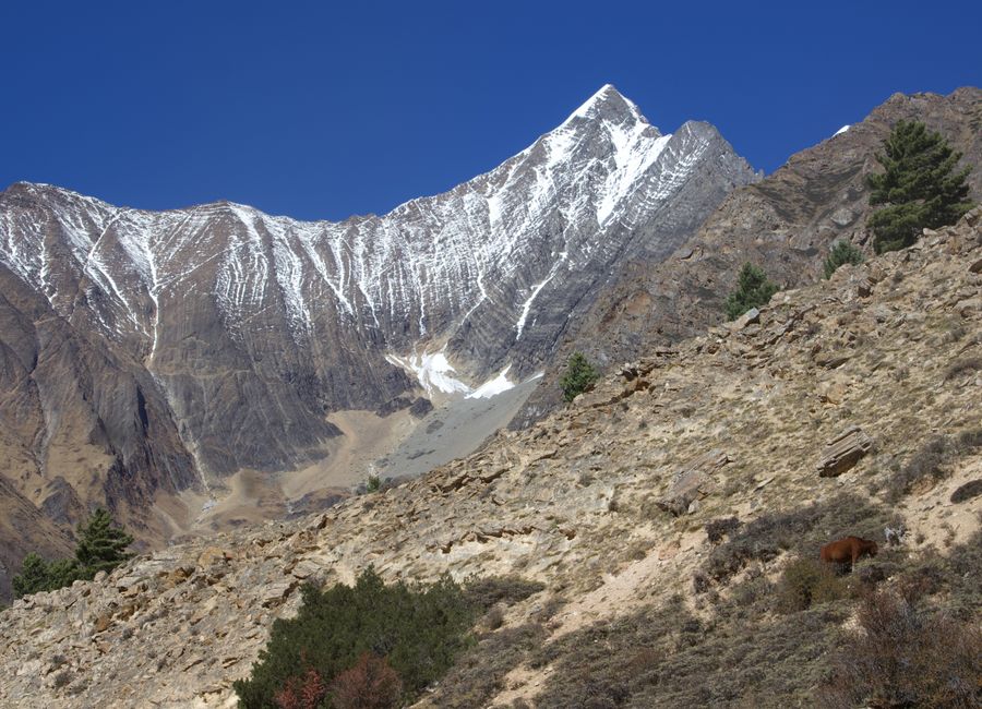 Stunning view of snow-capped mountains in Phoksundo, Nepal, showcasing natural beauty and rugged landscapes.