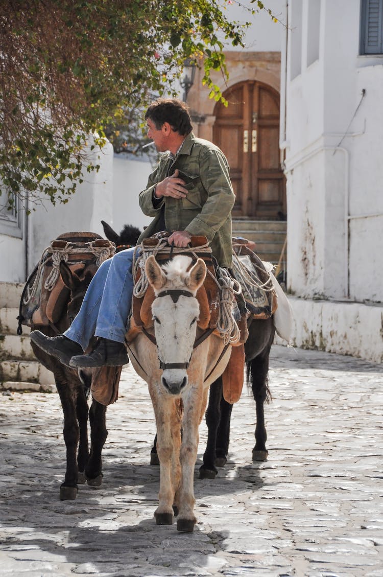 A Man Riding A Donkey