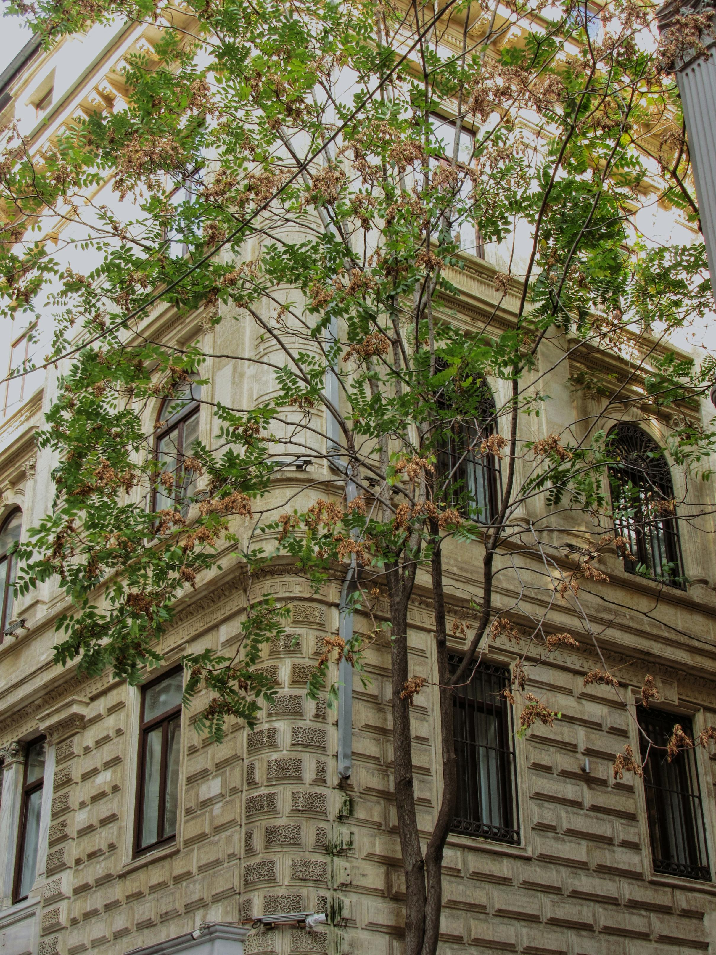 Free Elegant historic building exterior with lush greenery on a clear day, showcasing intricate architectural details. Stock Photo
