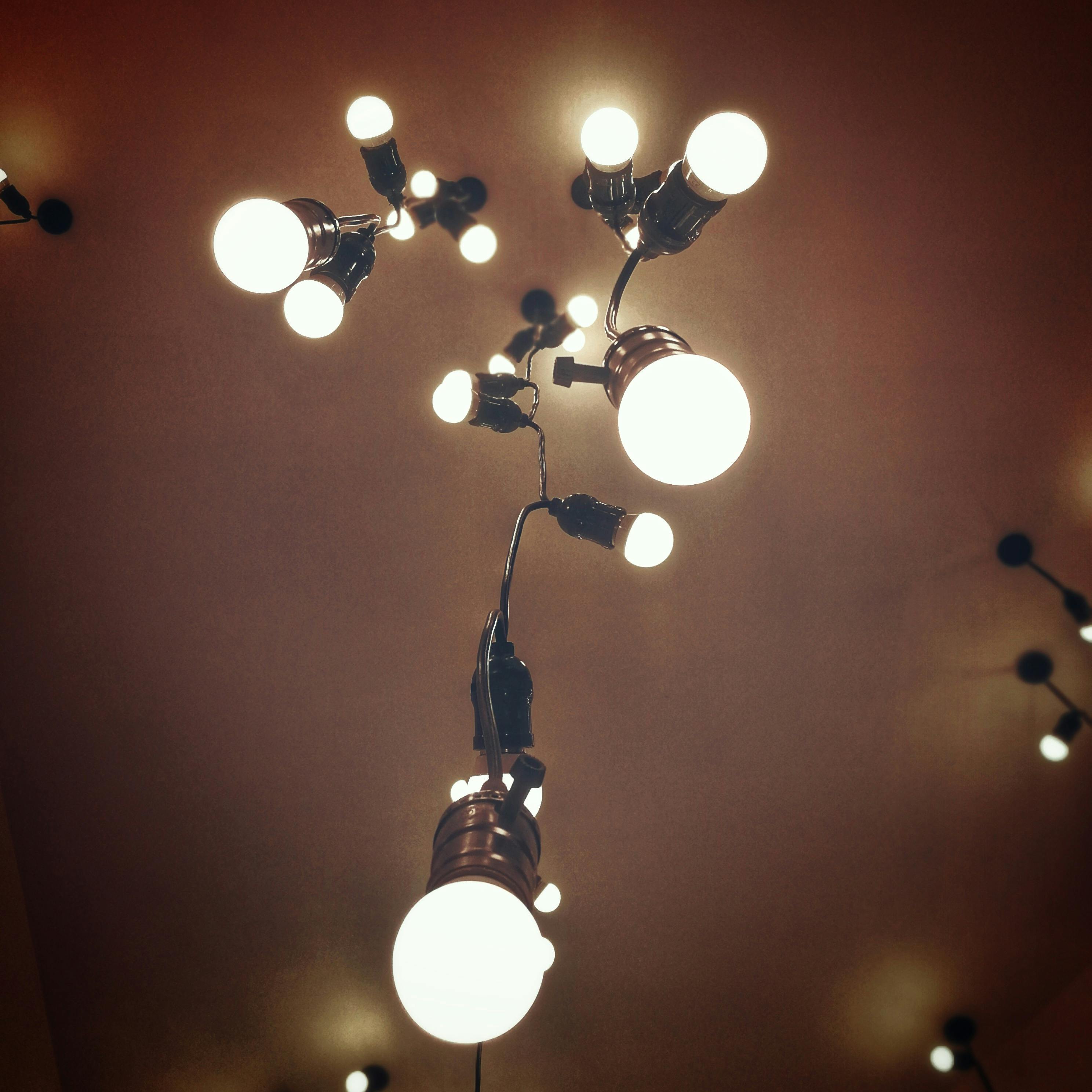 Free stock photo of bulbs, ceiling, light bulbs