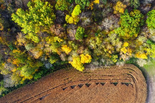 Aerial view of colorful autumn forest next to a harvested field, showcasing vibrant fall foliage.