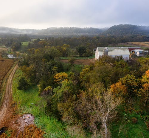 Aerial Footage of Barn House near Trees