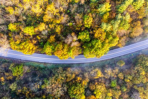 Free Drone shot capturing a winding road through vibrant autumn foliage in Minnesota. Stock Photo