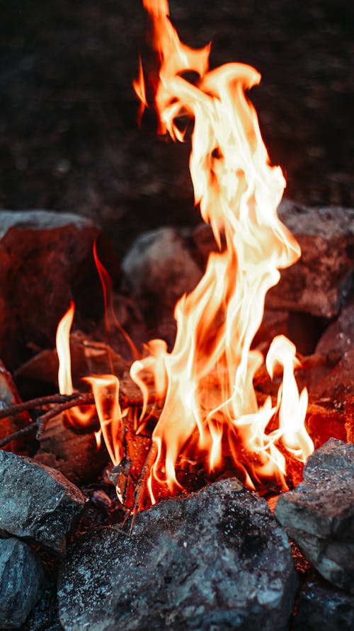 キャンプファイヤー, たき火, ホットの無料の写真素材