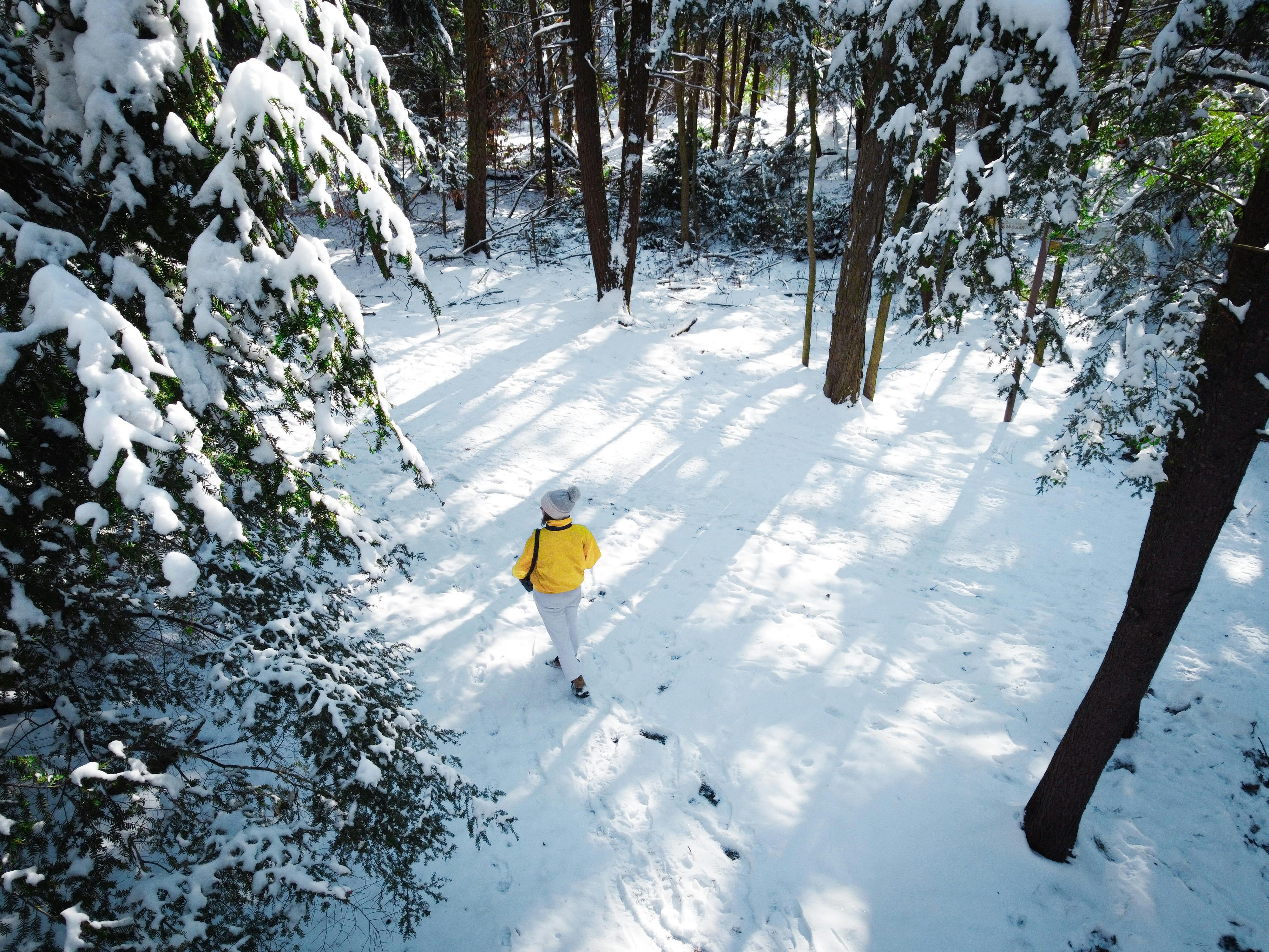 Energy Smart launches winter savings initiative — Photo by Sydney  Haws on Pexels