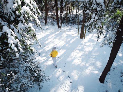 Person in Yellow Jacket Walking on Snow Covered Ground