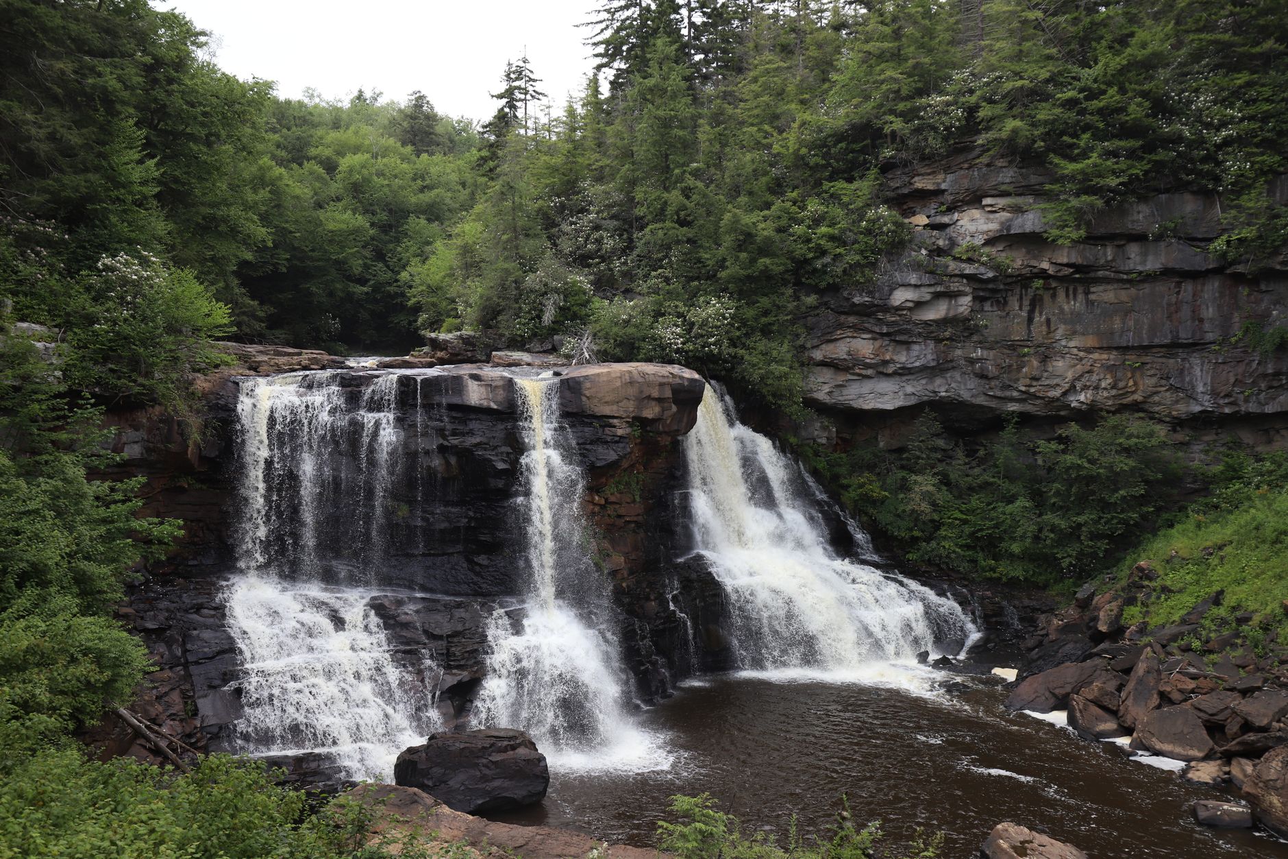 Blackwater Falls cascading through the forest near Davis, West Virginia