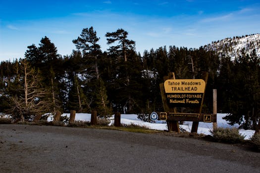 冬季积雪覆盖的太浩湖草地步道风景秀丽，高耸的树木映衬着蓝天
