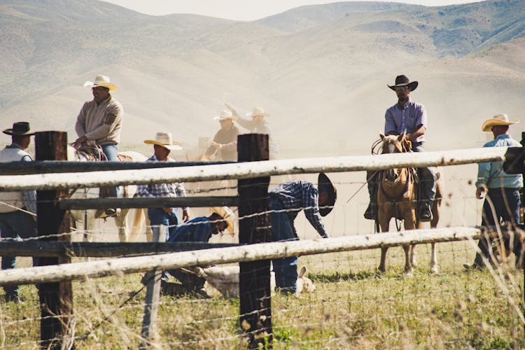 Cowboys Riding A Horse Near Gray Wooden Fence Taken During Dayitme