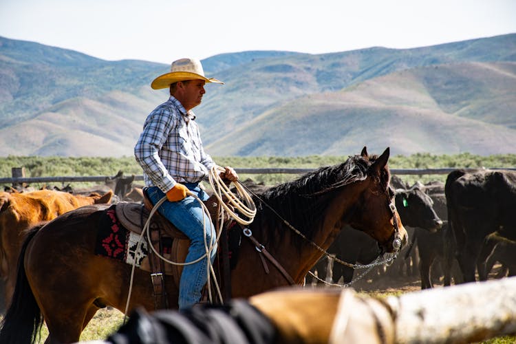 Photography Of A Person Riding Horse