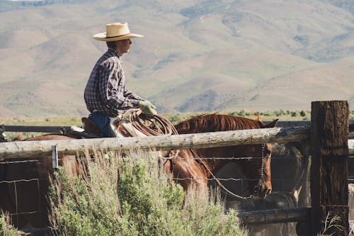 Fotografía De Un Hombre A Caballo