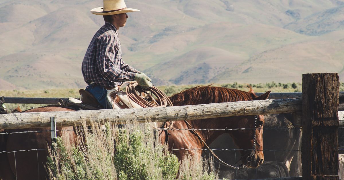 Man Rode Image Photography of a Man Riding Horse · Free Stock Photo