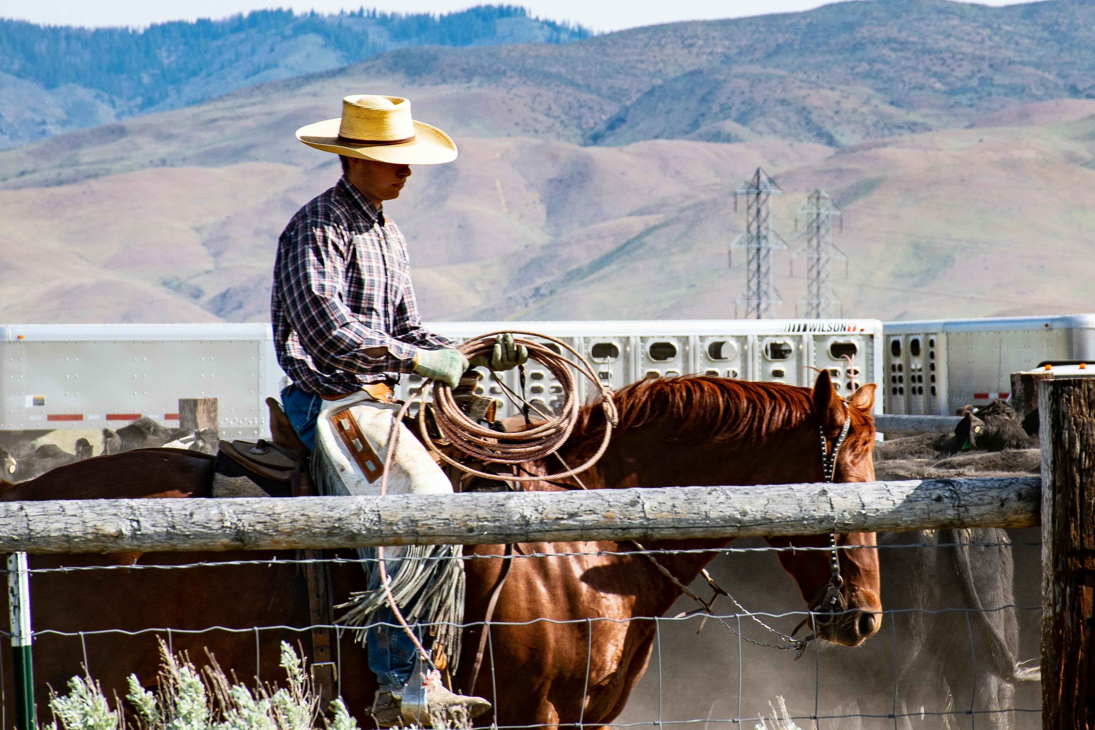 Man riding a brown horse. | Photo: Pexels