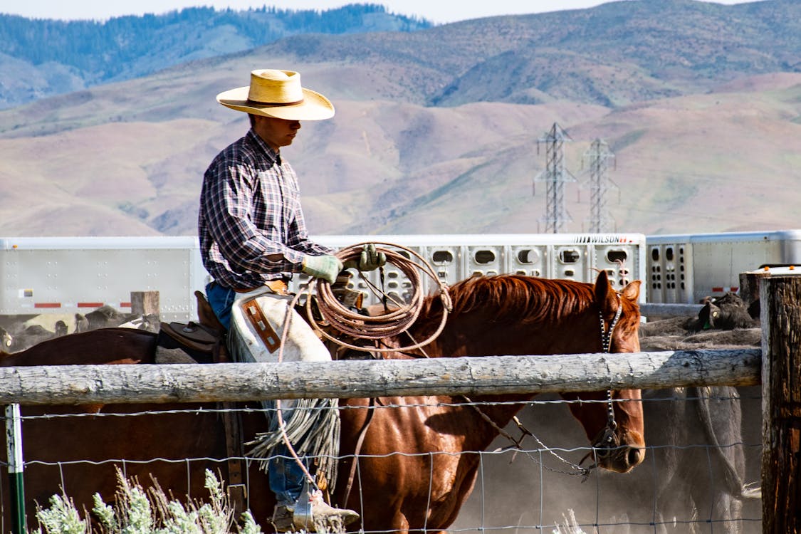 Photography of a Man Riding Horse