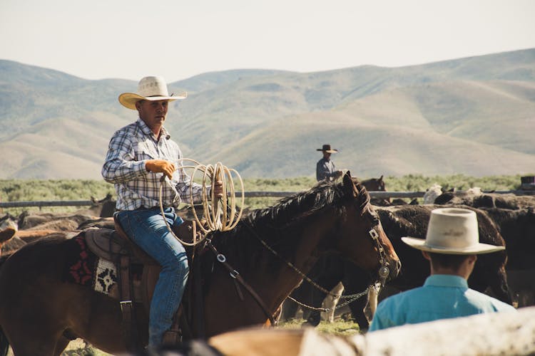 Photography Of A Person Riding Horse