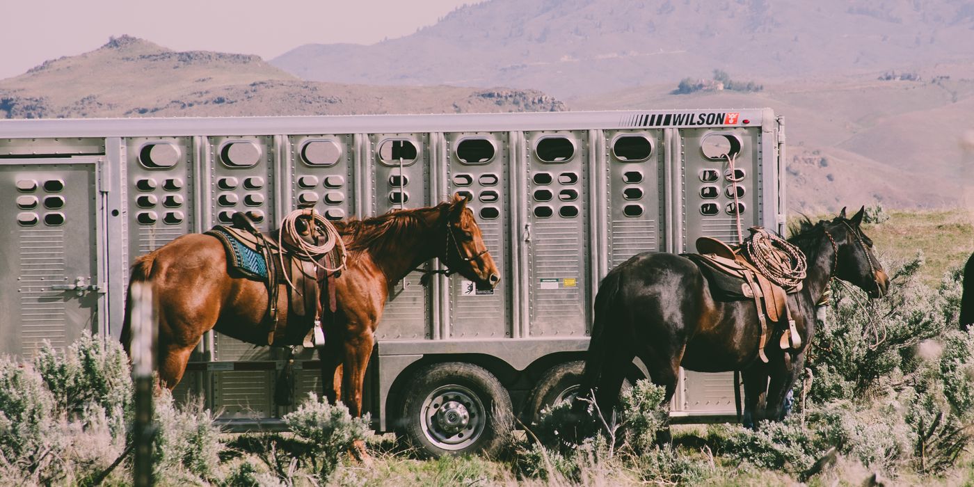 Two saddled horses tied beside an aluminum livestock trailer