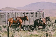 在乡村山区的景观中，两匹马正站在牲畜拖车旁