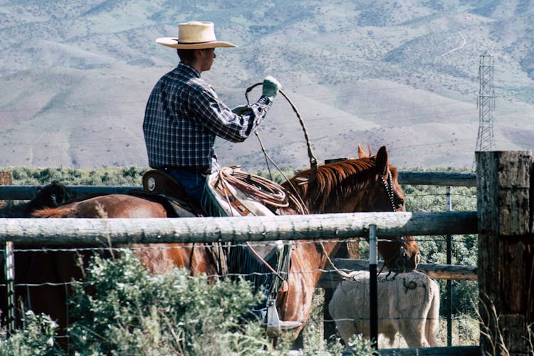 Photography Of A Person Riding Horse