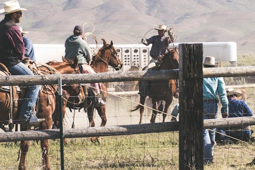 Drei Männer Reiten Pferde