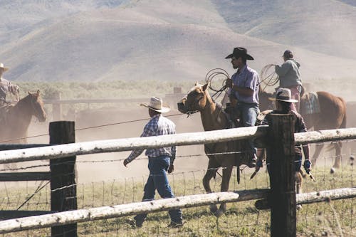 Kostenlos Menschen, Die Dort Perspektive Pferd In Der Farm Reiten Stock-Foto