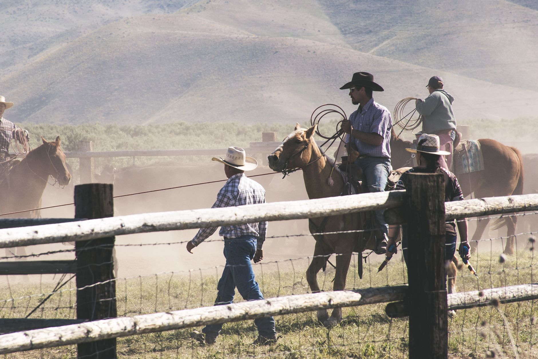 Cowboys on horseback navigating a dusty rural landscape, herding livestock under daylight.