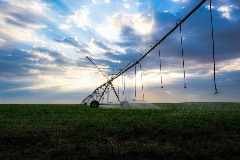 Irrigation system watering a green field under dramatic skies