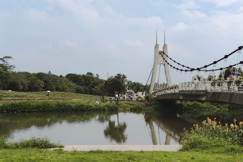 Free White Concrete Bridge on Body of Water Near Green Trees Stock Photo