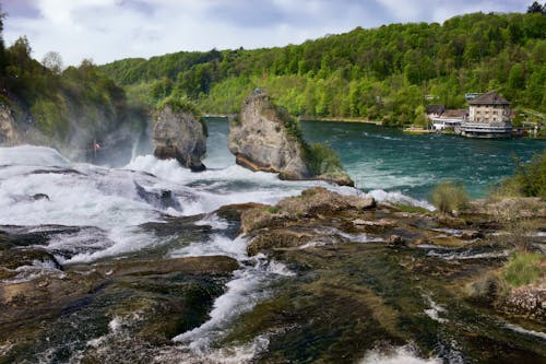 Photos gratuites de attraction touristique, cascade, chutes du rhin