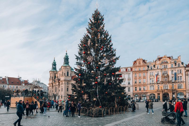 Brad de Crăciun în piața veche a unui oraș german