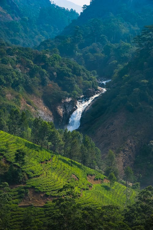 Immagine gratuita di alberi, cascata, colline