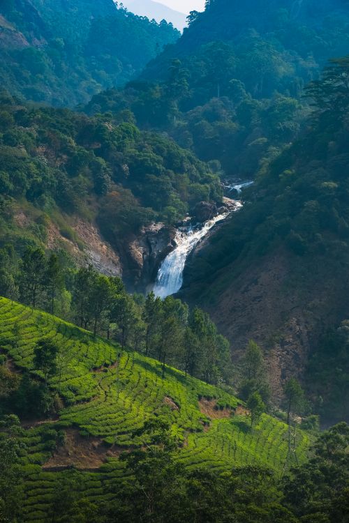 Attukad Waterfalls Munnar