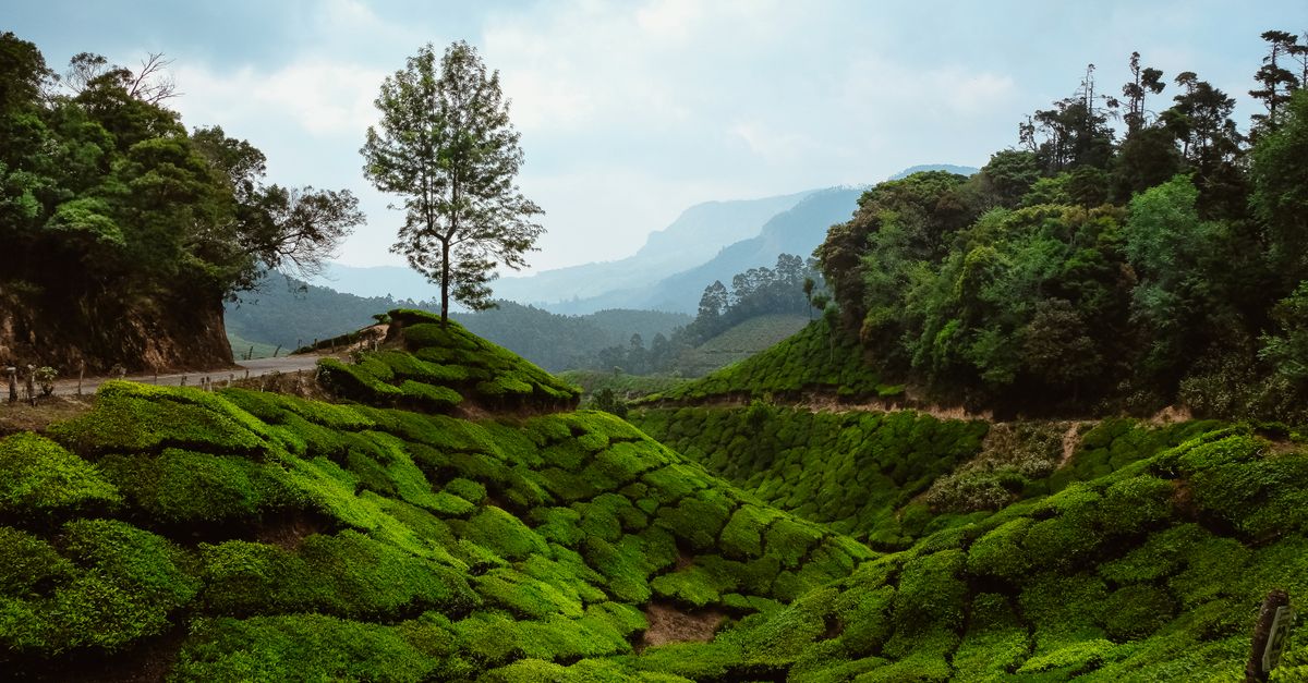 The Best Eco-Friendly Travel Practices to Adopt Today