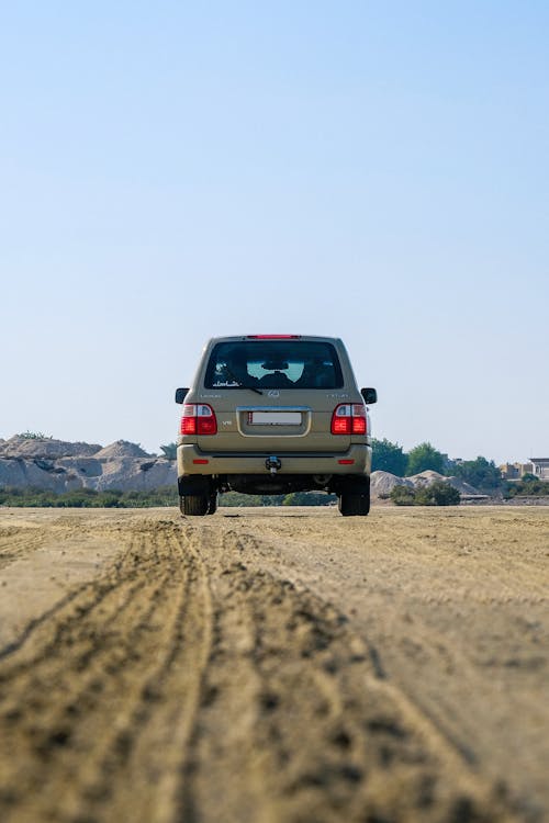 Back View of an SUV