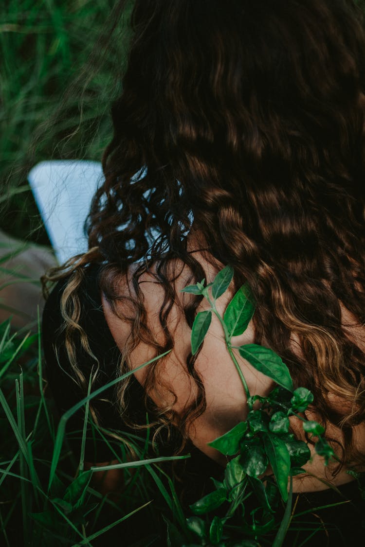 Brown, Long, Curly Hair Of Reading Girl And Plant