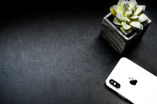 Ücretsiz Etli Bitkinin Yanında Gümüş Iphone X Stok Fotoğraflar