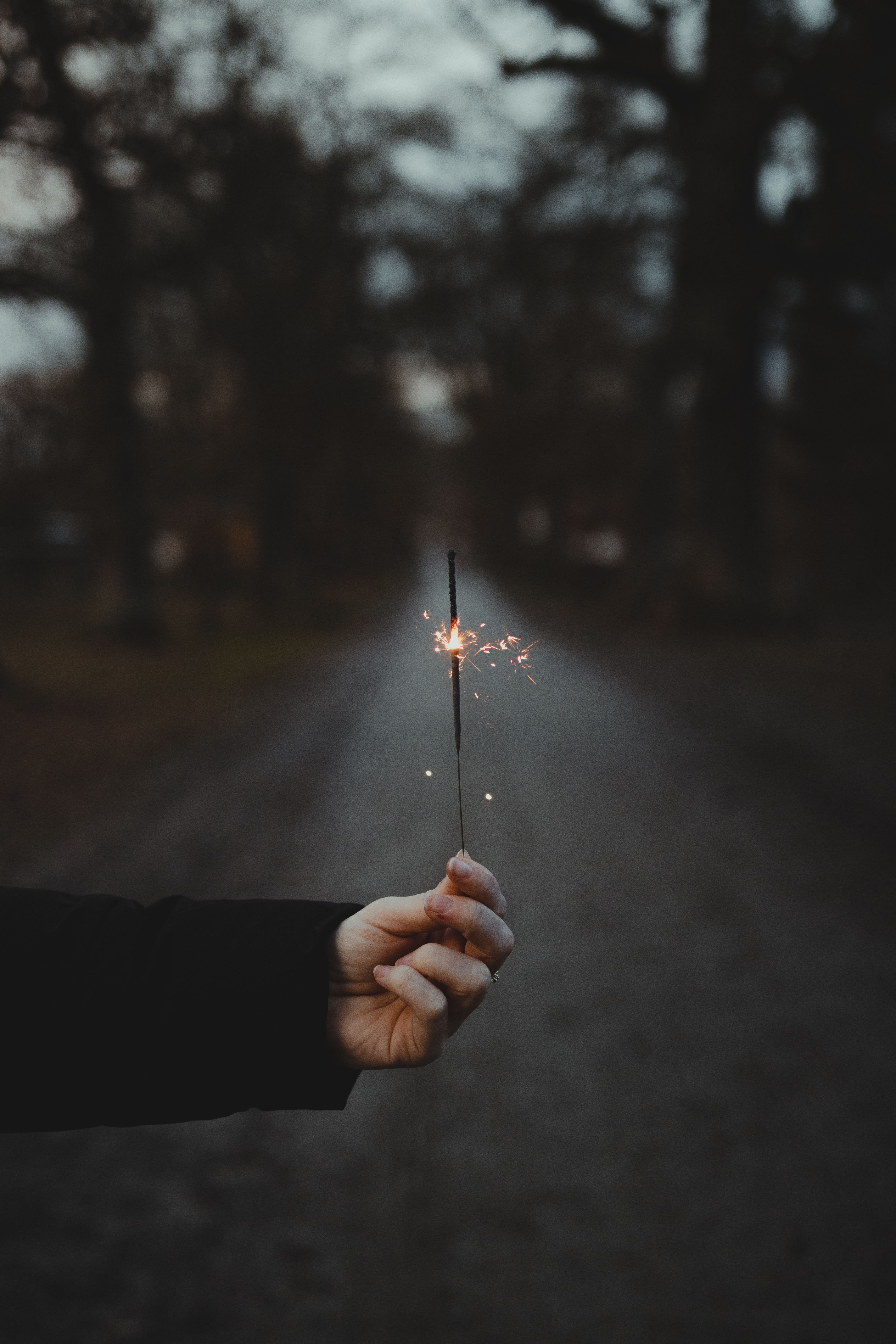 A single sparkler held in hand against a moody dusk forest path, evoking a sense of celebration.
