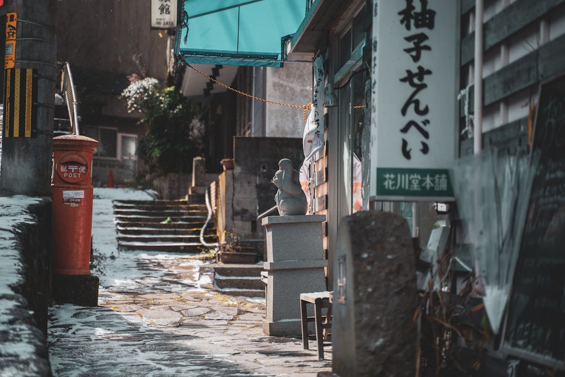 Free Lucky Cat in in front of House Stock Photo