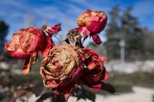 Mint Dream Scrunchie