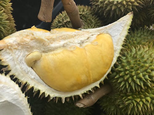 Základová fotografie zdarma na téma Bangkok, durian, jíst