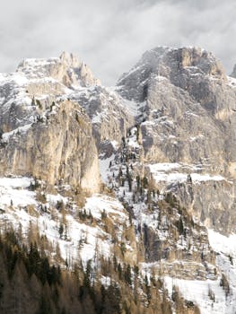 Snow-covered jagged mountain peaks and evergreen trees under a cloudy winter sky.