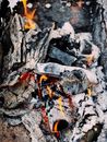 Photo of Pile of Burning Wood