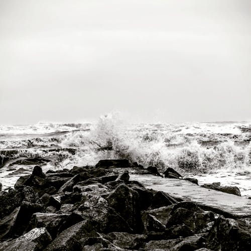 Photos gratuites de cailloux, mer, noir et blanc