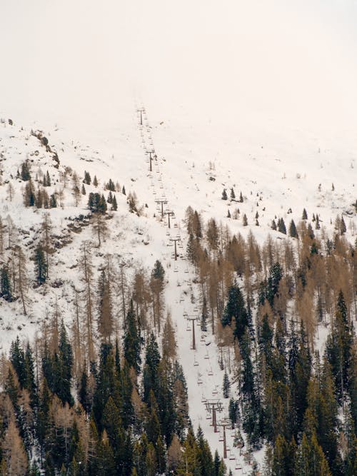 冬季, 冬季運動, 垂直拍攝 的 免費圖庫相片