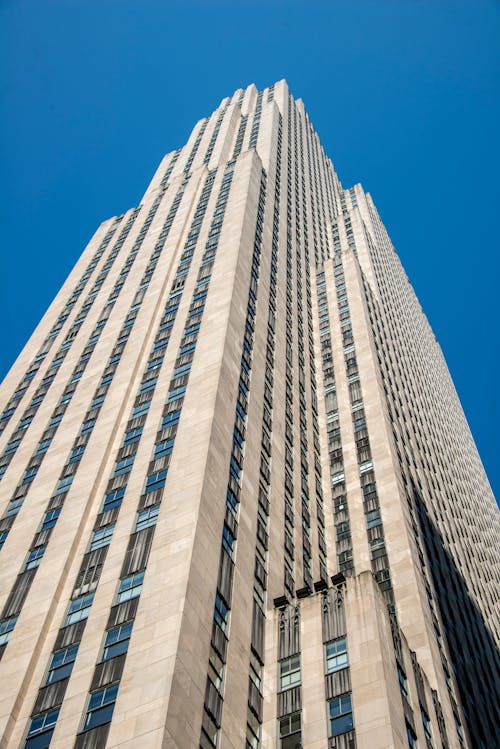 Low Angle View of a Skyscraper 