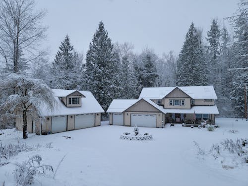 Δωρεάν στοκ φωτογραφιών με βαρύ χιόνι, δέντρα, καιρός