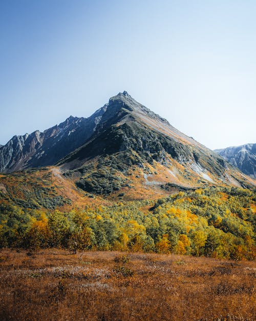 Mountain and Trees in Autumn Colors