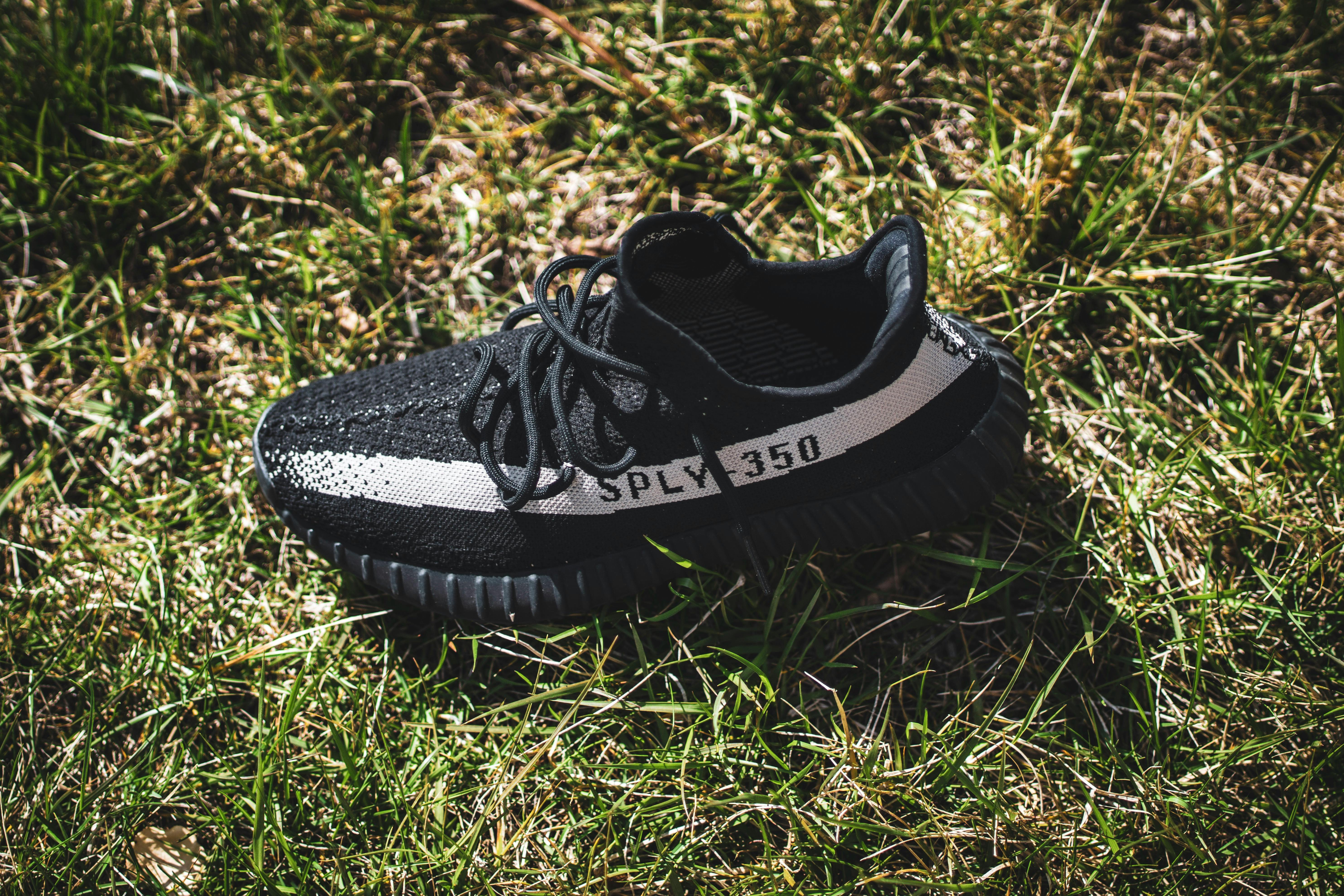 Free stock photo of shoe, sneaker, Sneaker wallpaper