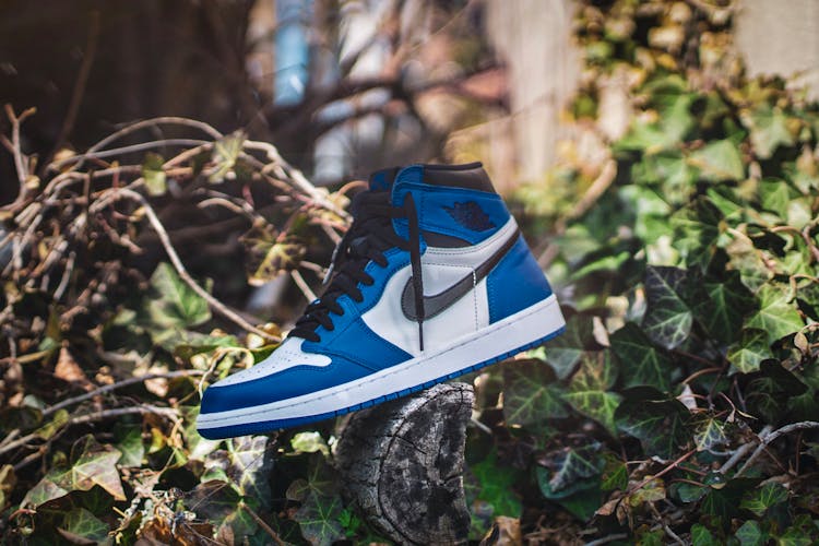 Blue And White Air Jordan 1 On Gray Wood Log At Daytime