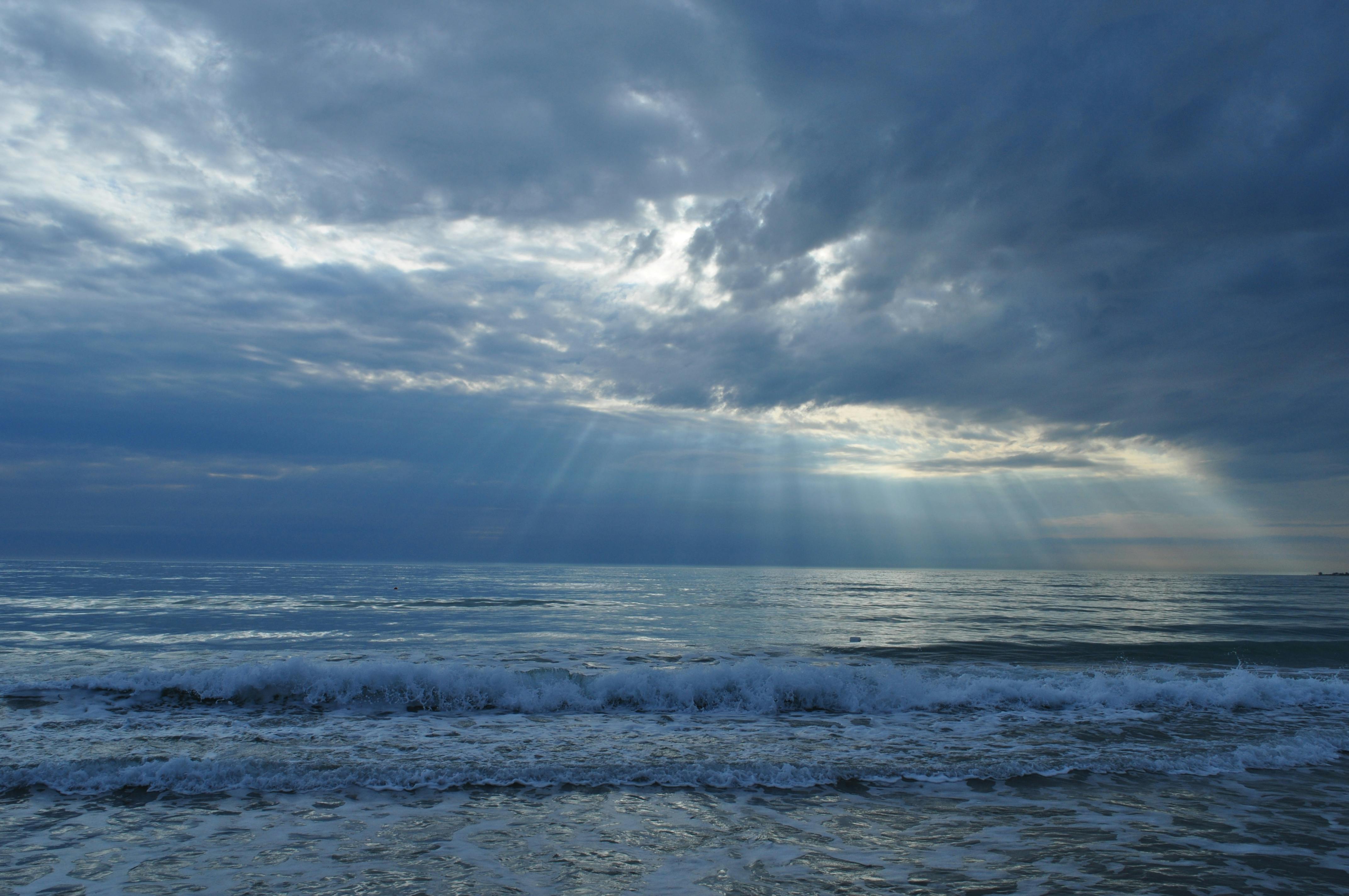 Светлана Баранова - 摄影