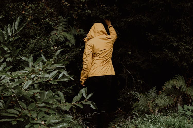 Person Touching Wall In Forest